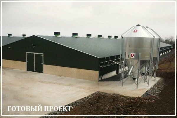 Этапы возведения птицефабрики от завода ВелесТент-пхв